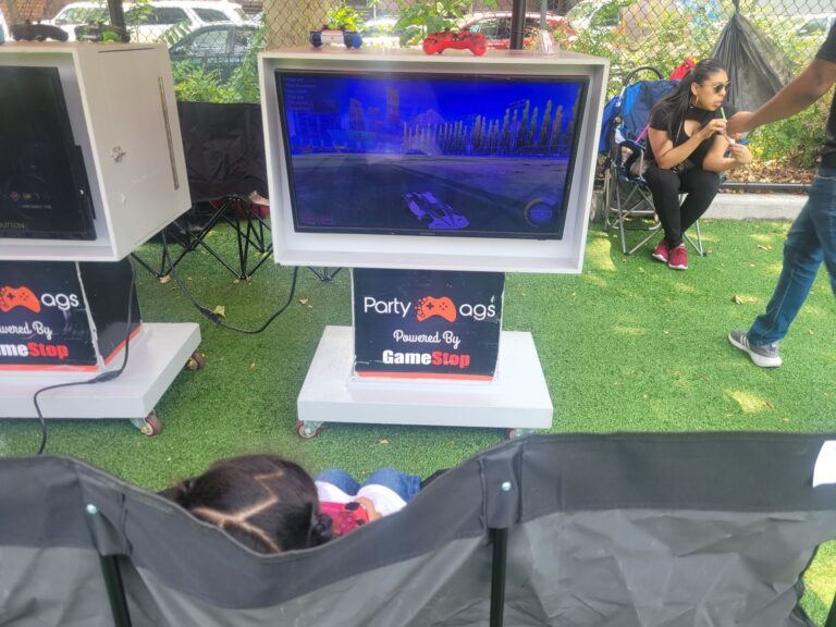 Outdoor Video Game Party